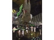 Trang trí halloween cho quán bar